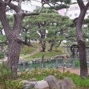 부산광역시 해운대구 이미지