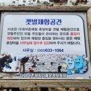 석방렴체험(맨손고기잡이체험) 네이버블로그
