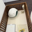 이정훈 강아지 하남본점 이미지