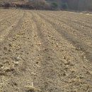 도동농장 이미지