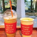 교래생태체험장 이미지