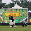 펫토피아 이미지