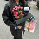 시오레 이미지