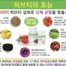 드림점핑 이미지