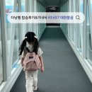 457 | 아이랑 다낭 여행 3. 베트남 다낭, 대한항공 KE 457 탑승 후기 (기내식, 사전좌석 구매 꿀팁)