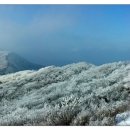 방태산 가는 길 이미지