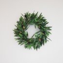 올리브조화 이미지