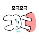 이쁘개 이동미용 이미지