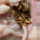 하림통닭 네이버블로그