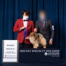 스타덤 펫살롱 이미지