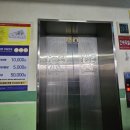 진배족발(교대점)