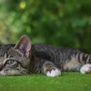 당산오돌 길동점 이미지