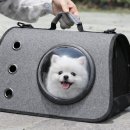 크로스캐리어