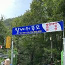금산남성경로당 | 전남 구례 당일치기 물놀이 추천 : 칼바위폭포