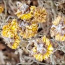 논현1동 주민센터 이미지