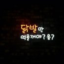 순정닭발 - 서구 월평로 96 | 순정닭발