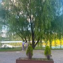 이숙번 묘 | 시흥 가볼만한곳 물왕저수지 물왕호수 카페 산책 주차