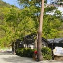 법수치오토캠핑장 이미지