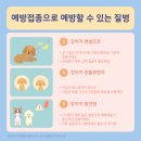 여주켄넬 이미지