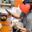 128# 짧은 휴가라도 떠나보자