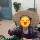 그레이스요양원