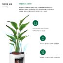 에코 플랜테리어 수경재배 이미지