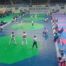 꿈나무태권도체육관 이미지