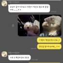 덕분이야모든개 이미지