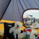 용암1리 경로당 이미지