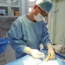 마더스동물병원 이미지