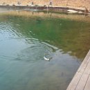 구만리낚시터 이미지