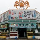 날으는산오징어 이미지