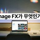 이미지(i.mage)