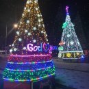 최강치과기공소 이미지