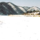 마니네 - 유성구 | 마니네