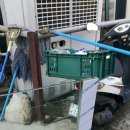 효신시장 이미지