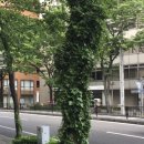 같이갈래? 이미지