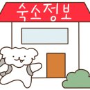베니아펜션