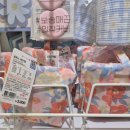 손안에 작은 꽃밭 이미지