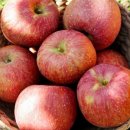 오늘도 신선 이미지