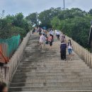 포항물회해물포차 이미지