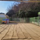 항도초 병설유치원 이미지