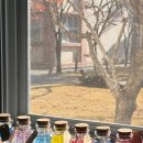 장안중학교 | &lt;부산 출강&gt; 아레볼 캔들 ㅣ 장안중학교 출강 후기 캔들아티스트 직업체험 바다젤캔들 만들기