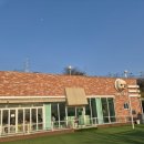 애견스토리 | 용인 애견카페 아로하스토리 방문 후기