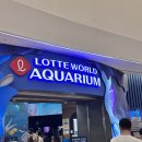 킹덤장어 | 서울 잠실 롯데월드 아쿠아리움 X 쿠키런 킹덤 콜라보! 수중 모험전 솔직 후기 (기간/주차)