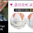 정체교정