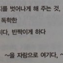 노피아 이미지