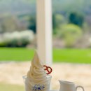 용목장 | 포천 산정호수 근처 카페 추천｜감성 힐링 카페 사르르목장 솔직 후기 🐄☕🌿