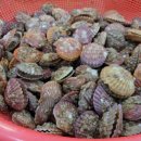 송아식당