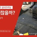 유성구출장세차